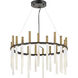 Echo LED 26 inch Black Chandelier Ceiling Light