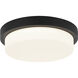 Durham LED 12.88 inch Matte Black Flush Mount Ceiling Light