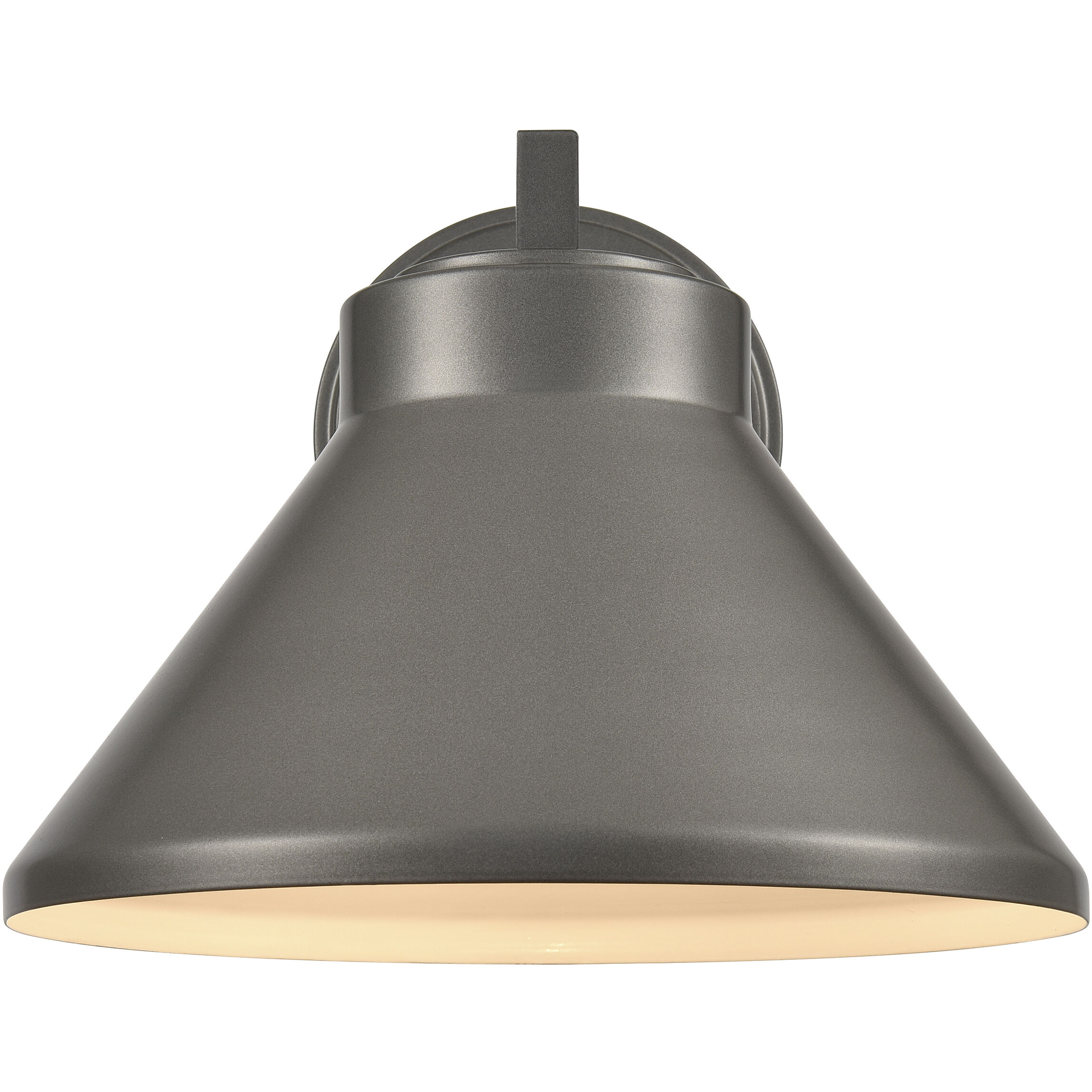 Thane 1 Light 8.25 inch Hematite Outdoor Wall Sconce