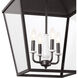 Homestead Dame 4 Light 19 inch Anvil Iron Foyer Pendant Ceiling Light, Dame