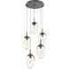 Meteo LED LED Graphite Chandelier Ceiling Light, Round Multi-Port
