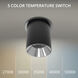 Zoron LED 3.63 inch Black and Chrome Outdoor Ceiling Lighting in Black/Chrome