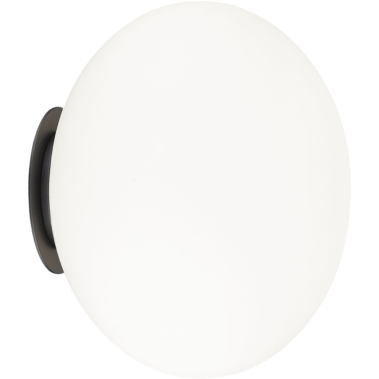 Mayu 10 inch Black Wall Sconce Wall Light