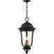 Peale Street 4 Light 12.13 inch Sand Coal And Vermeil Gold Outdoor Hanging Light, The Great Outdoors