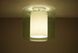Pahu LED 12 inch Satin Nickel Semi-Flush Mount Ceiling Light in Transparent Olive/Opal Glass