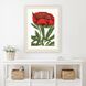 Florals Collection Red Framed Art