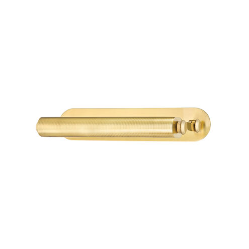 Stockport 120 watt 17.25 inch Aged Brass Picture Light Wall Light