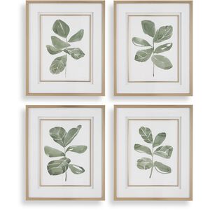 Fiddle Head 34 X 28 inch Leaf Botanical Prints, Set of 4