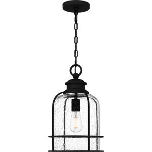 Bowles 1 Light 10 inch Earth Black Outdoor Lantern, Large