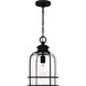 Bowles 1 Light 10 inch Earth Black Outdoor Lantern, Large