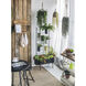 Anita 20 inch Brown/Black Wall Shelf