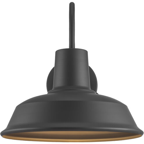 Tacoma 1 Light 13 inch Weathered Bronze Outdoor Wall Sconce
