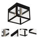 Nyack 2 Light 8 inch Black with Brushed Nickel Finish Cluster Outdoor Flush Mount
