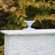 Luxor 1 Light 4.38 inch White Pergola Light, Solar