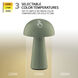 Darla 8.63 inch 2 watt Green Rechargeable Table Lamp Portable Light