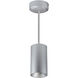 iLENE Silver Stem Mount Mini Cylinder Ceiling Light