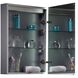 Glow 27.6 X 19.7 inch Mirror with Brushed Aluminum Wall Mirror Cabinet