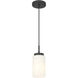 Iris 1 Light 4 inch Matte Black Pendant Ceiling Light