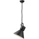 Crew 1 Light 18 inch Matte Black Pendant Ceiling Light