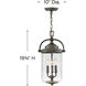 Coastal Elements Willoughby LED 10 inch Oil Rubbed Bronze Outdoor Hanging Lantern