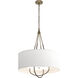 Loop 4 Light 28 inch Soft Gold and White Pendant Ceiling Light in Soft Gold/White, Natural Anna
