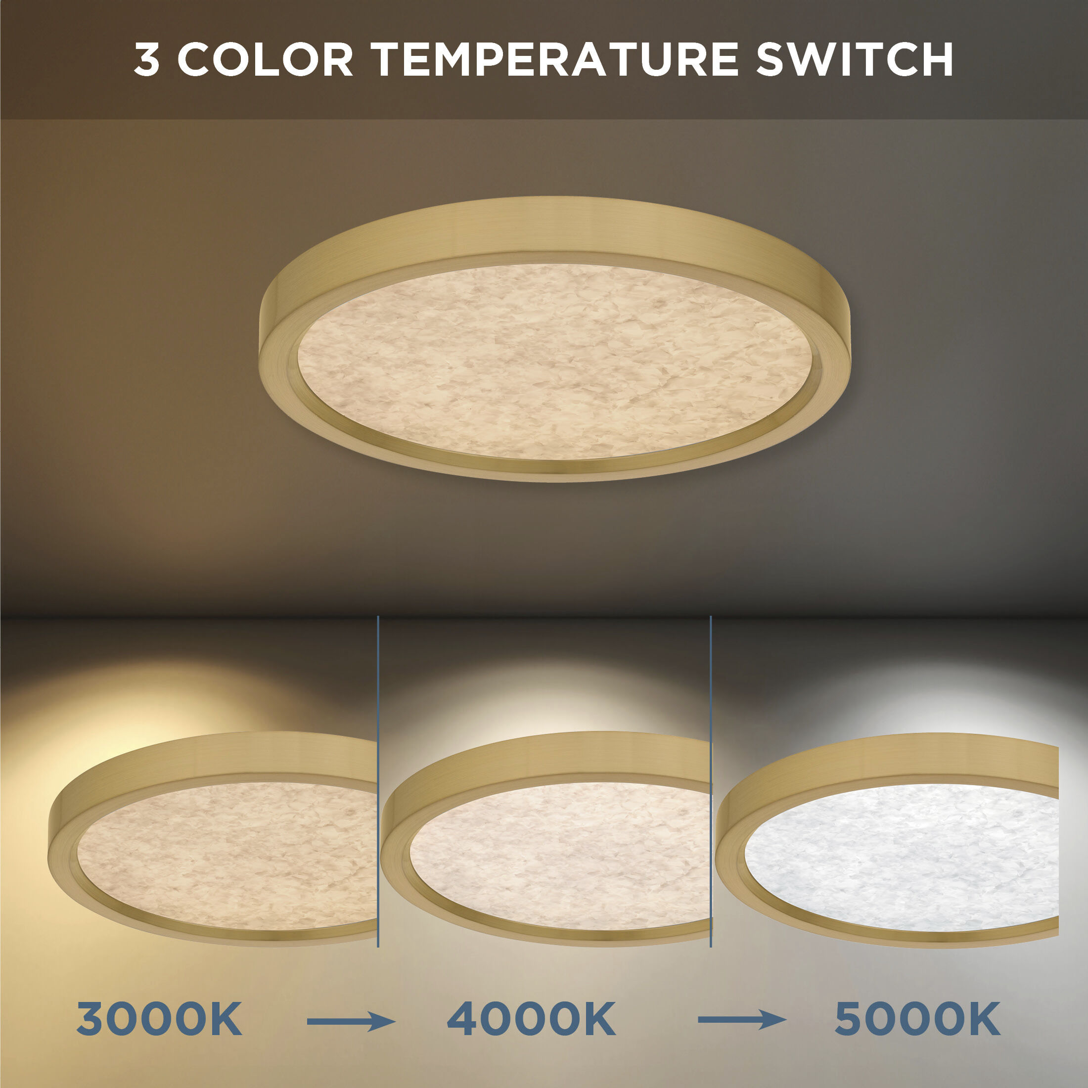 Outskirts LED 11 inch Brushed Gold Flush Mount Ceiling Light, Small