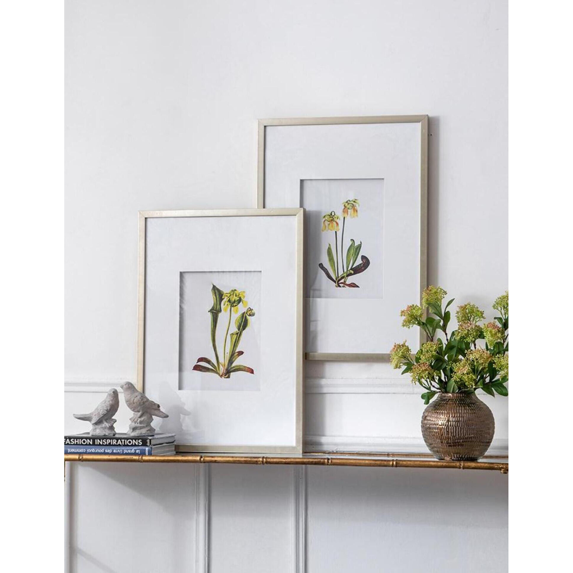 Botanical Multi Color Wall Art, Set of 4