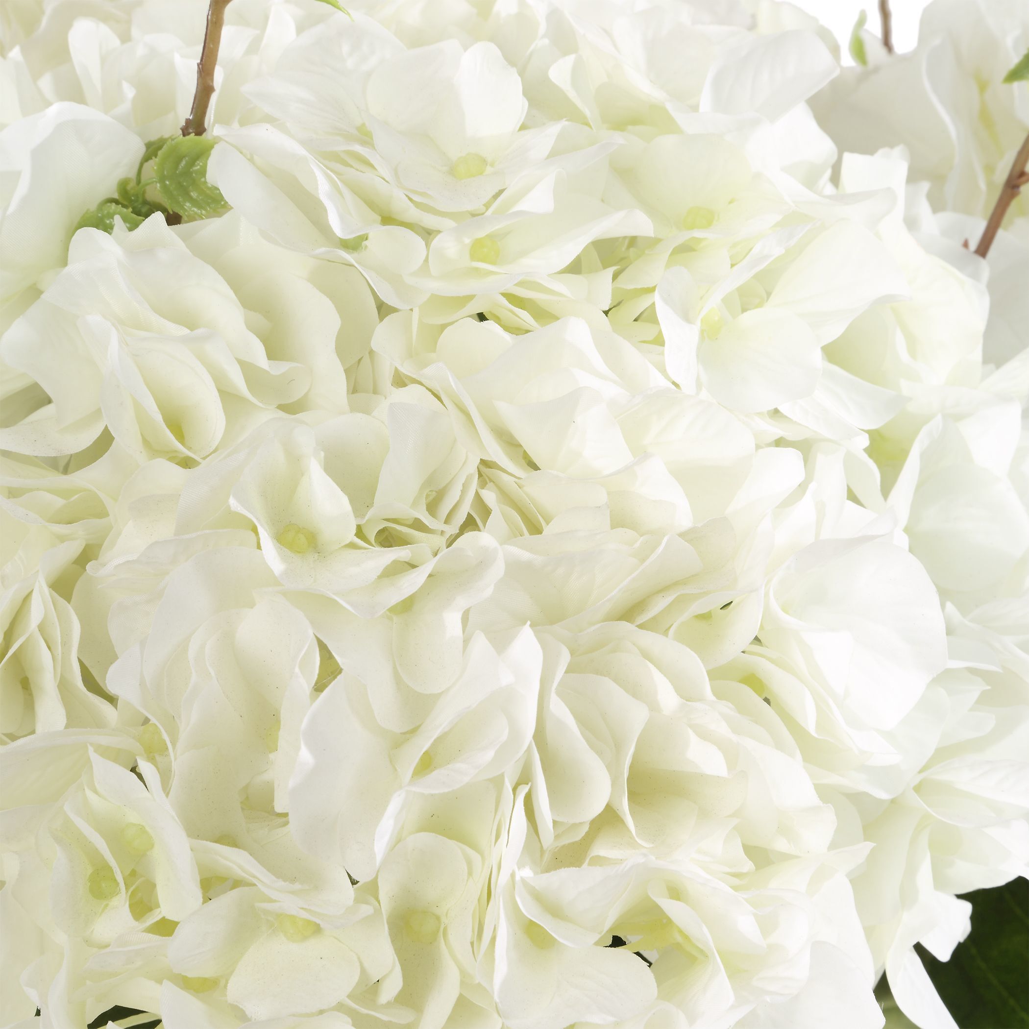 Anastasia Hydrangea Cream Hydrangeas and Natural Foliage Centerpiece