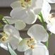 Laris White and Green Orchid Drop-In