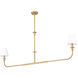 Tova 2 Light 63.75 inch Rubbed Brass Linear Chandelier Ceiling Light