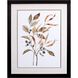 Florals Collection Brown Framed Art