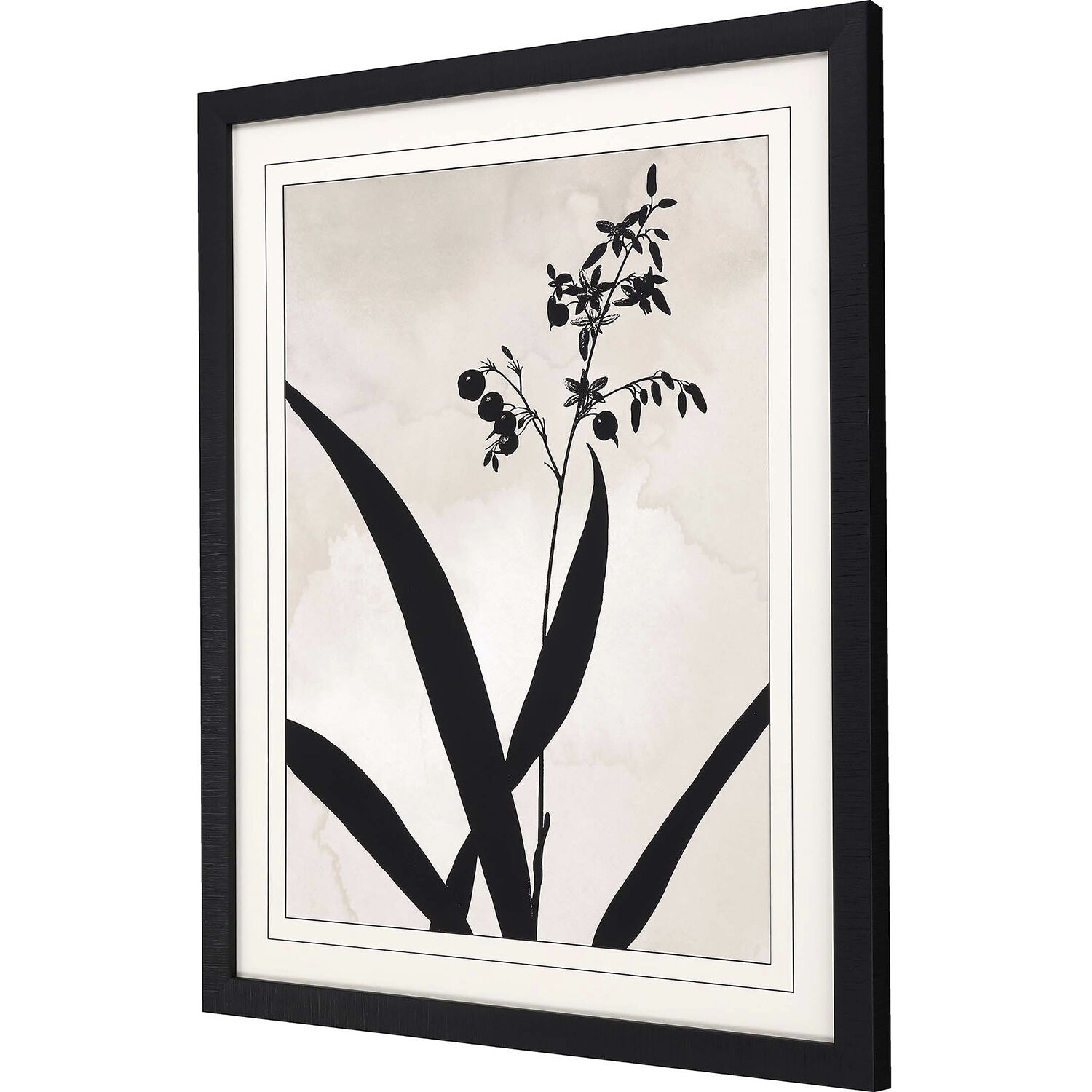 Dianella Muscari Black and Beige Framed Art