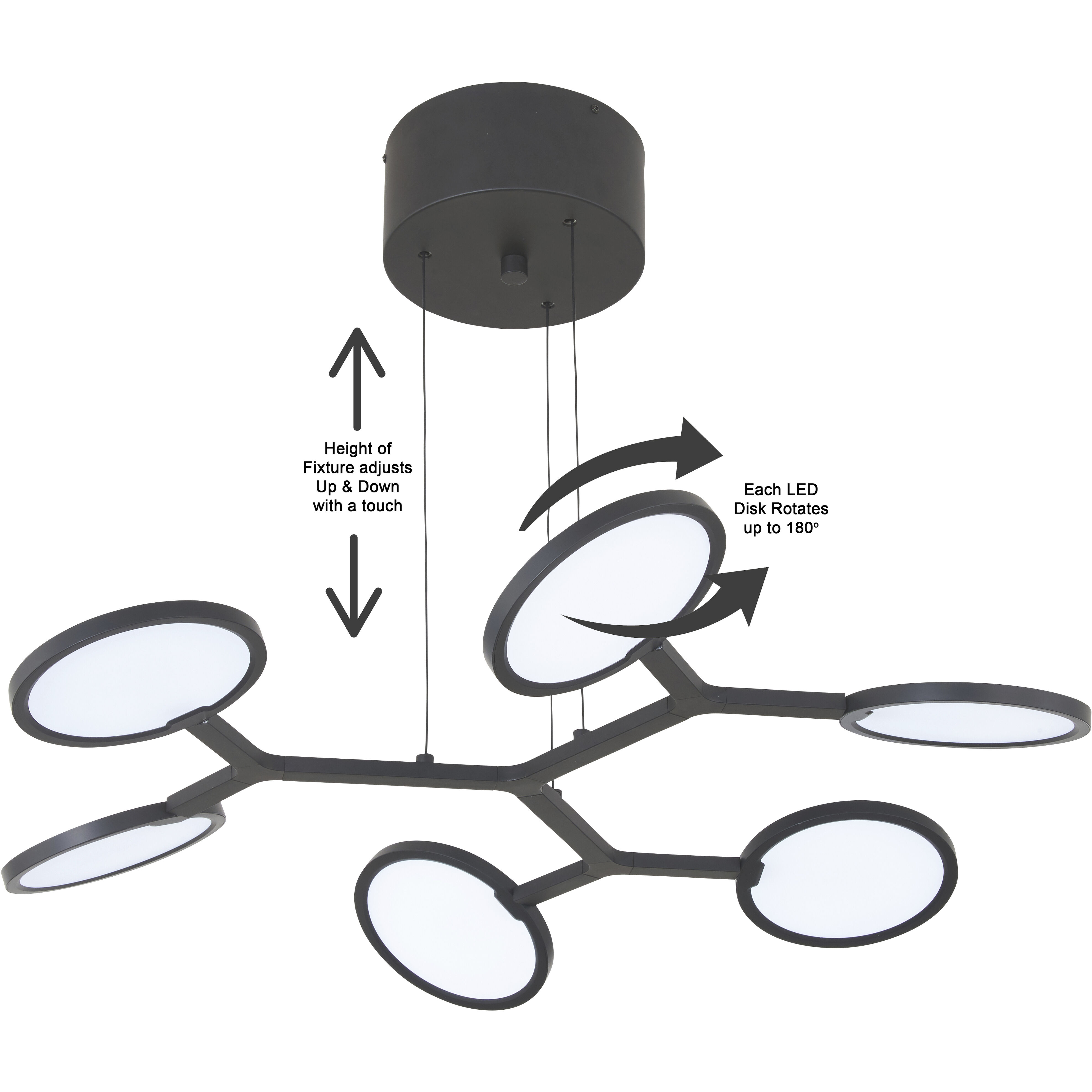 Bandalore LED Coal Pendant Ceiling Light