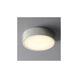 Peepers 1 Light 10 inch Polished Nickel Flush Mount Ceiling Light