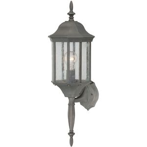 Hawthorne 1 Light 26 inch Painted Bronze Outdoor Wall Sconce