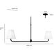 Ami 2 Light 48 inch Matte Black Linear Chandelier Ceiling Light