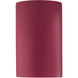 Ambiance LED 12.5 inch Cerise Outdoor Wall Sconce in 1000 Lm LED, Ceriseá