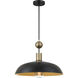 Biloxi 1 Light 23.88 inch Coal And Weathered Antique Brass Pendant Ceiling Light