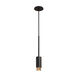 Exhaust Pendant LED 2.36 inch Graphite / Brass Pendant Ceiling Light