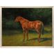 Animals Collection Silver Leaf Wood Shadow Box With Gold Wash Edging And Black Side Framed Art