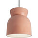 Radiance Collection 1 Light 8 inch Gloss Blush Pendant Ceiling Light