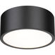 Harley 2 Light 12 inch Matte Black Flush Mount Ceiling Light