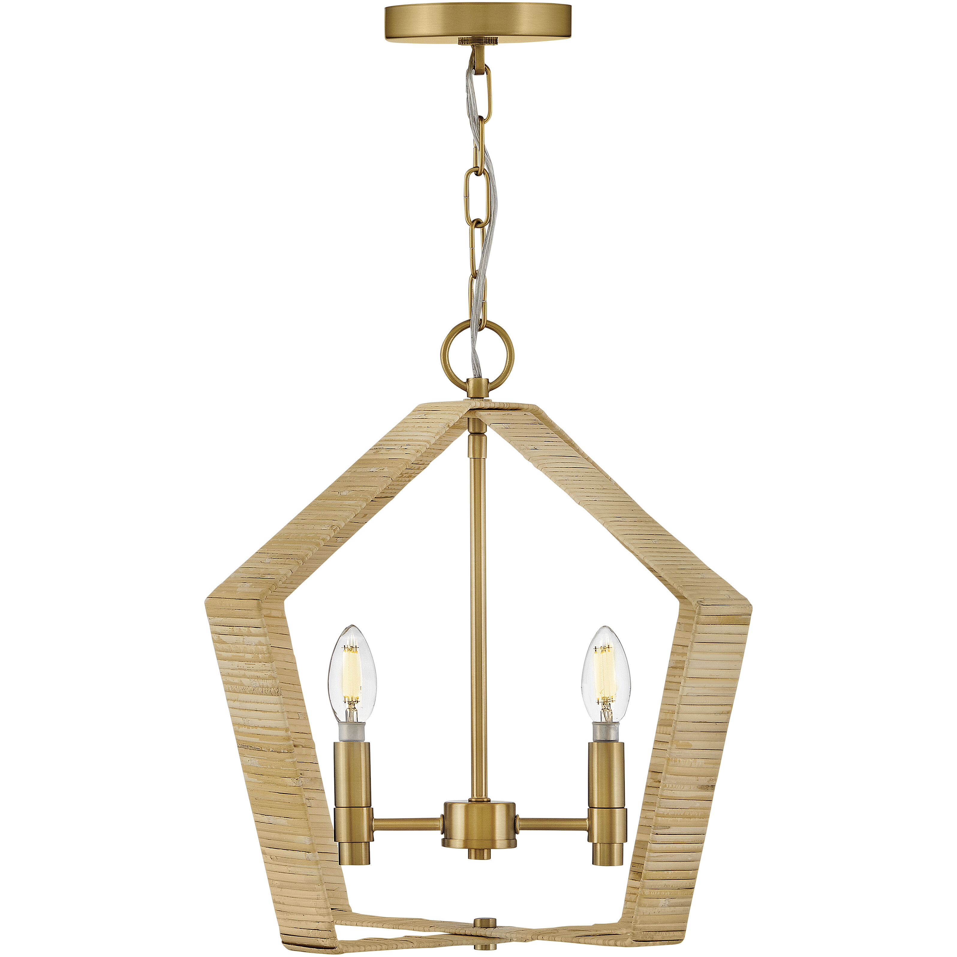 Sammi 2 Light 20 inch Lacquered Brass Pendant Ceiling Light