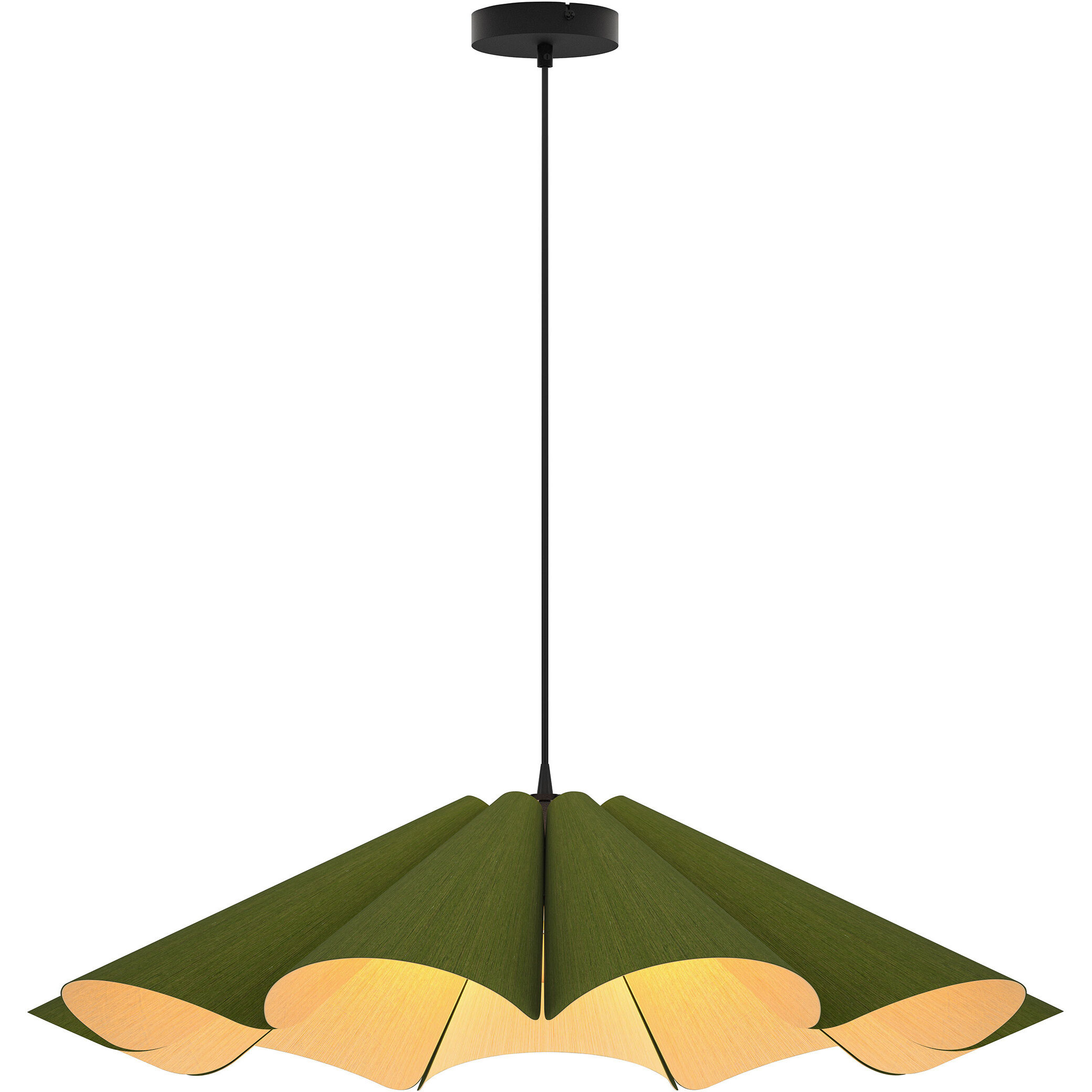 Delfina 1 Light 23.6 inch Black Pendant Ceiling Light in Green/Ash, 24 in, WEP Collection