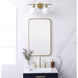 Evermore 30 X 18 inch Brass Mirror 