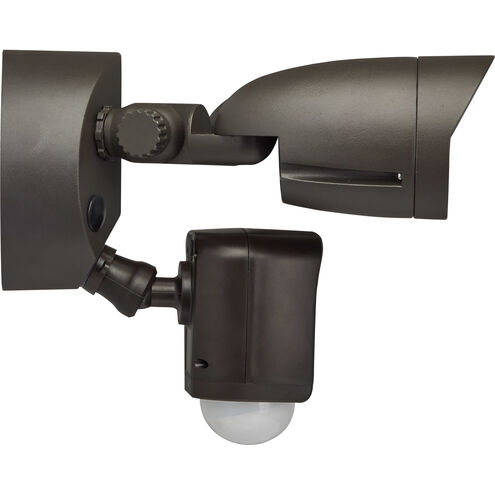 Bullet LED 8 inch Brown Outdoor Security Camera