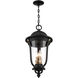 Peale Street 4 Light 12.13 inch Sand Coal And Vermeil Gold Outdoor Hanging Light, The Great Outdoors