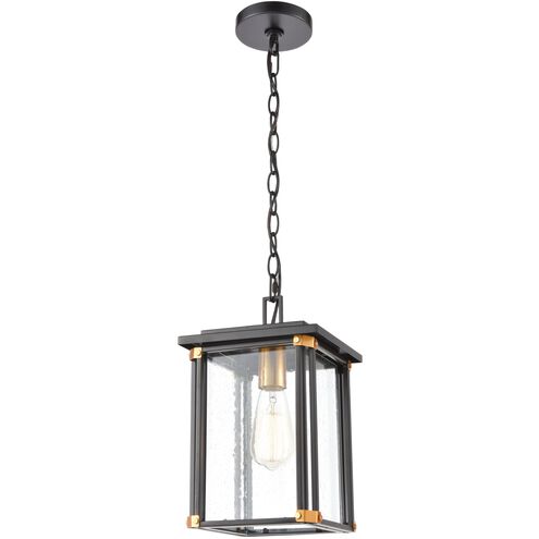 Vincentown 1 Light 8 inch Matte Black with Brushed Brass Outdoor Pendant