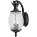 Lanai 2 Light 18 inch Matte Black Exterior Wall Mount