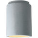 Radiance 1 Light 6.5 inch Concrete Flush Mount Ceiling Light in Incandescent